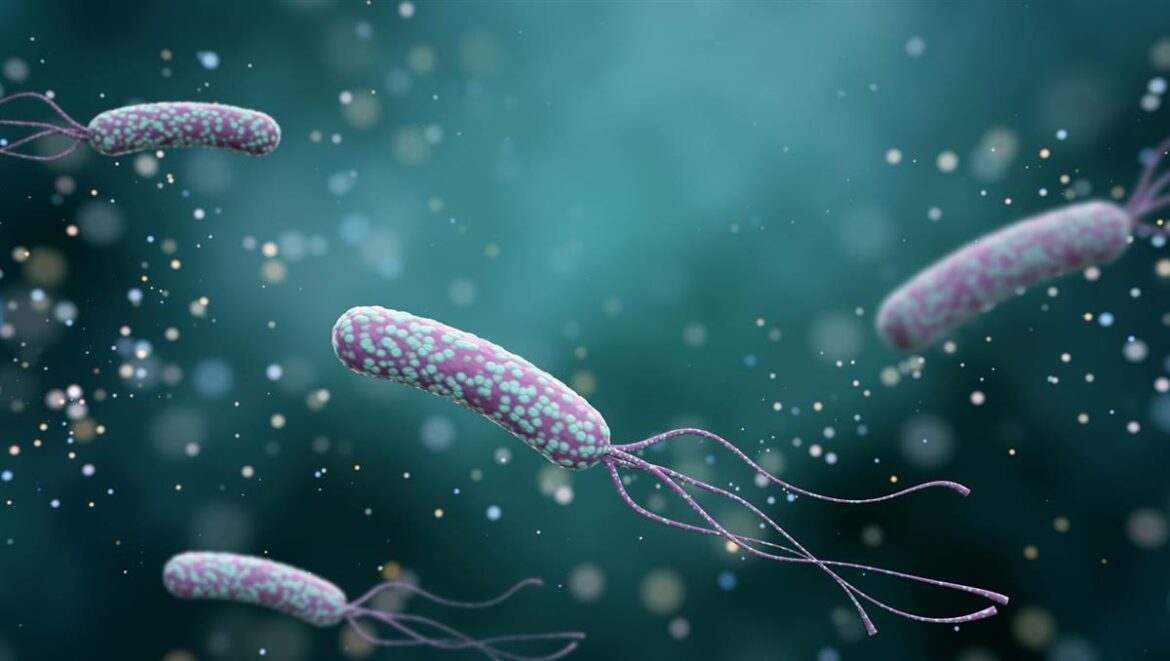 O H. Pylori e o câncer gástrico: a bactéria é de fato vilã?