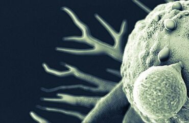 Oncogenes e Genes supressores tumorais: como interpretá-los?